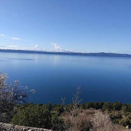 Apartman Krzenic With Sea View Podgora Exterior foto
